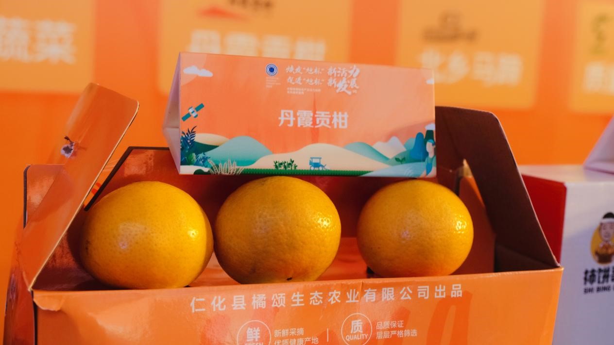 丹霞贡柑亮相广州塔 仁化电商在行动3.jpg