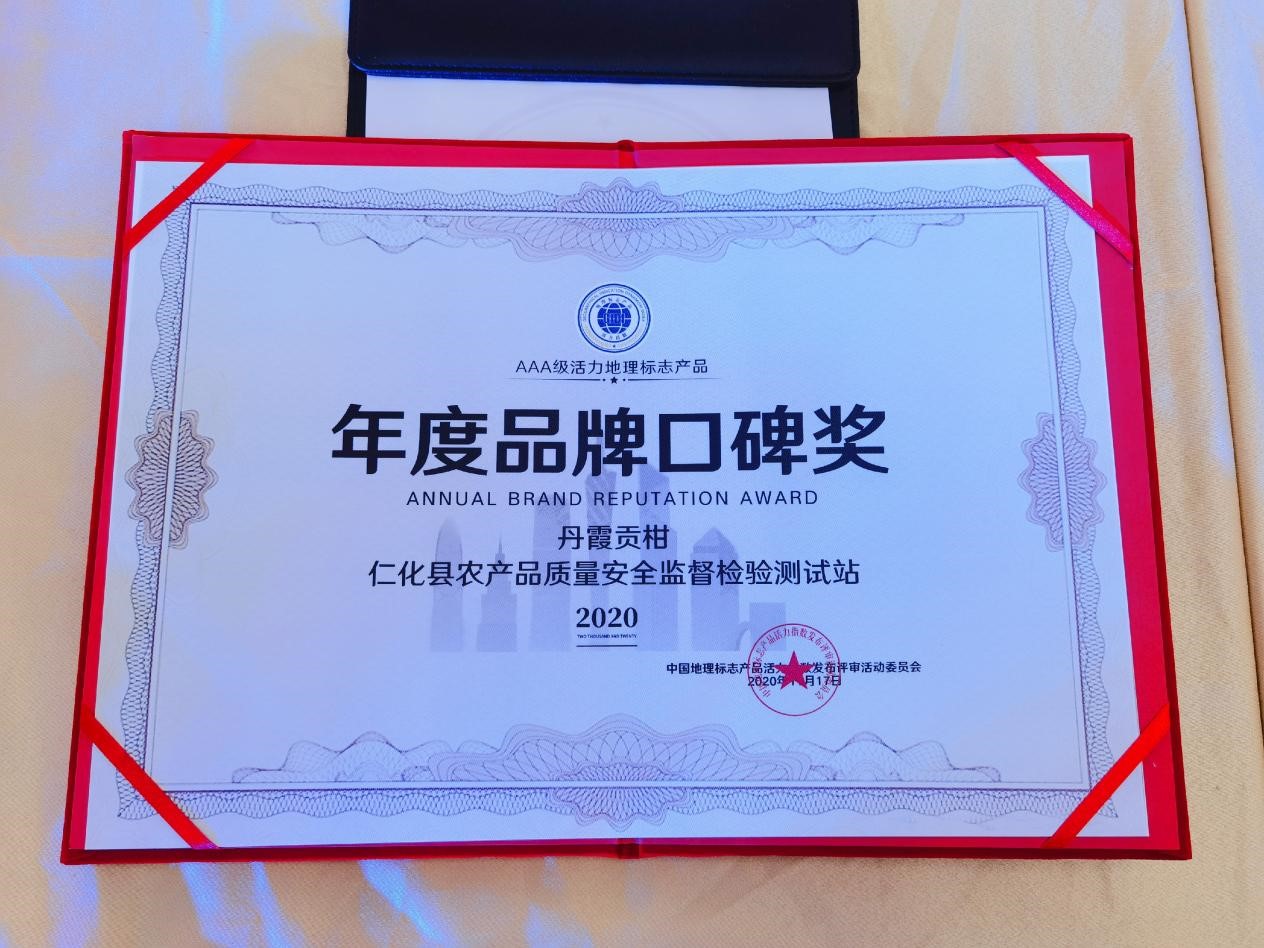丹霞贡柑亮相广州塔 仁化电商在行动4.jpg