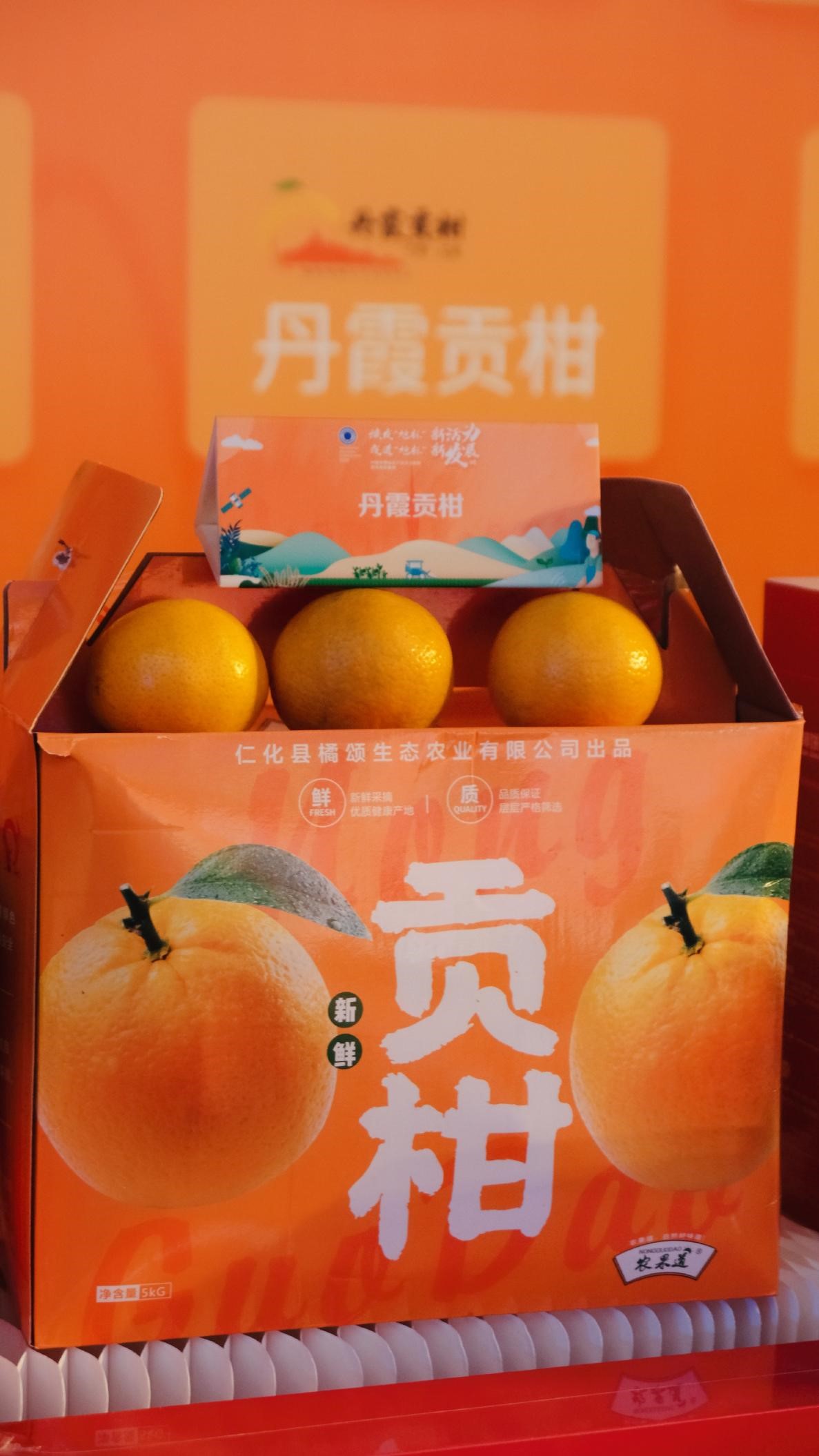 丹霞贡柑亮相广州塔 仁化电商在行动5.jpg
