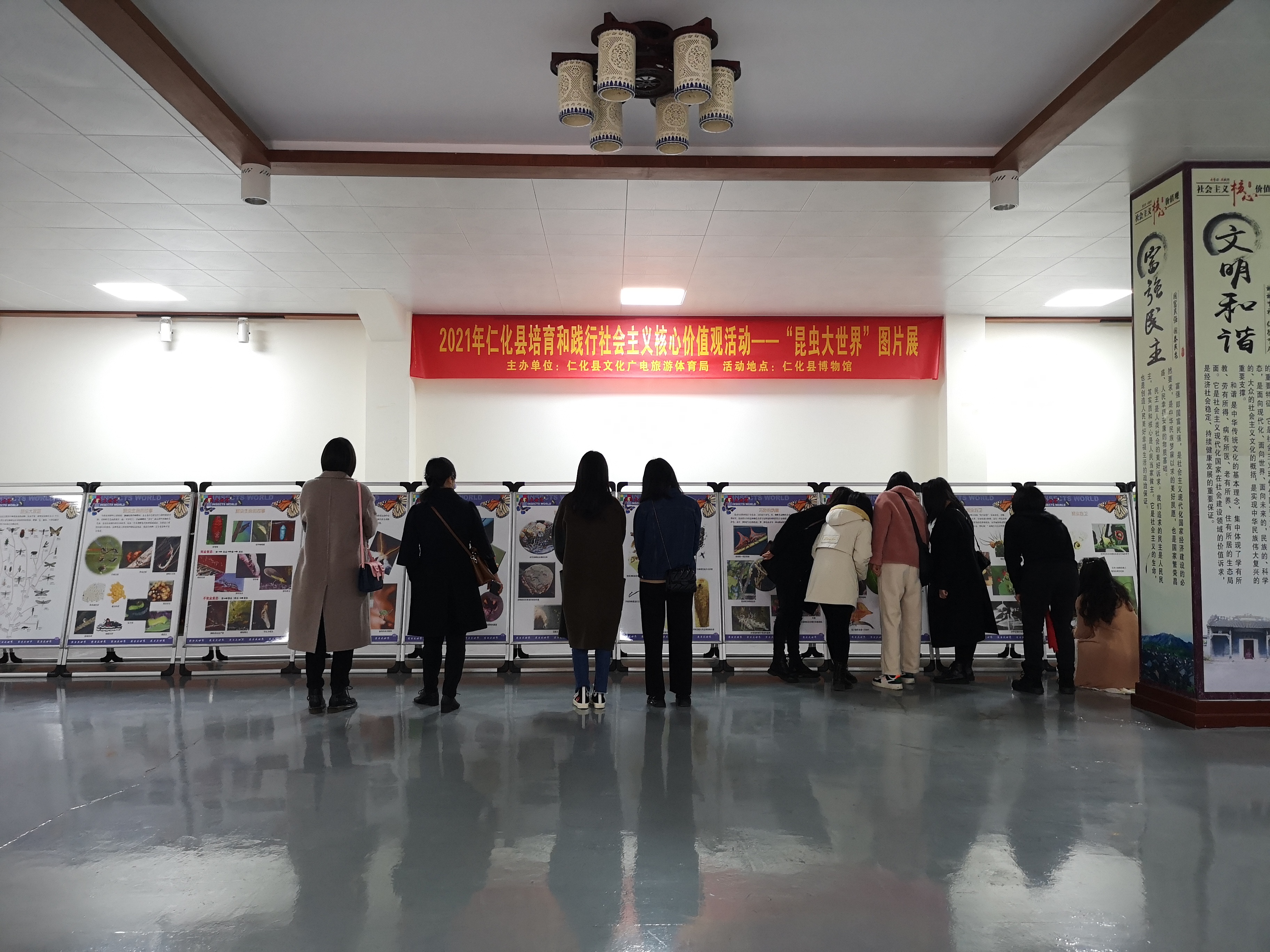 主办单位：  仁化县文化广电旅游体育局，时间：2021年1月-3月，地点：仁化县博物馆在馆内开展培育和践行社会主义核心价值观活动——“昆虫大世界”图片展.jpg