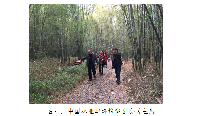 QQ图片20200117172245.png