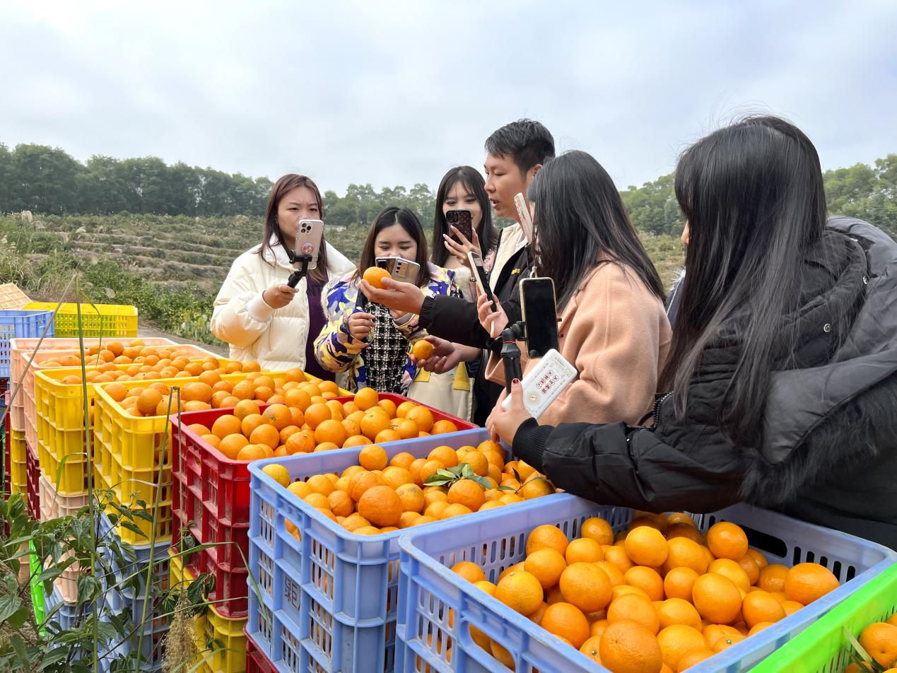 图片23.png