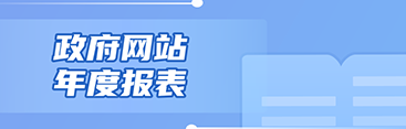 政府网站年度报表