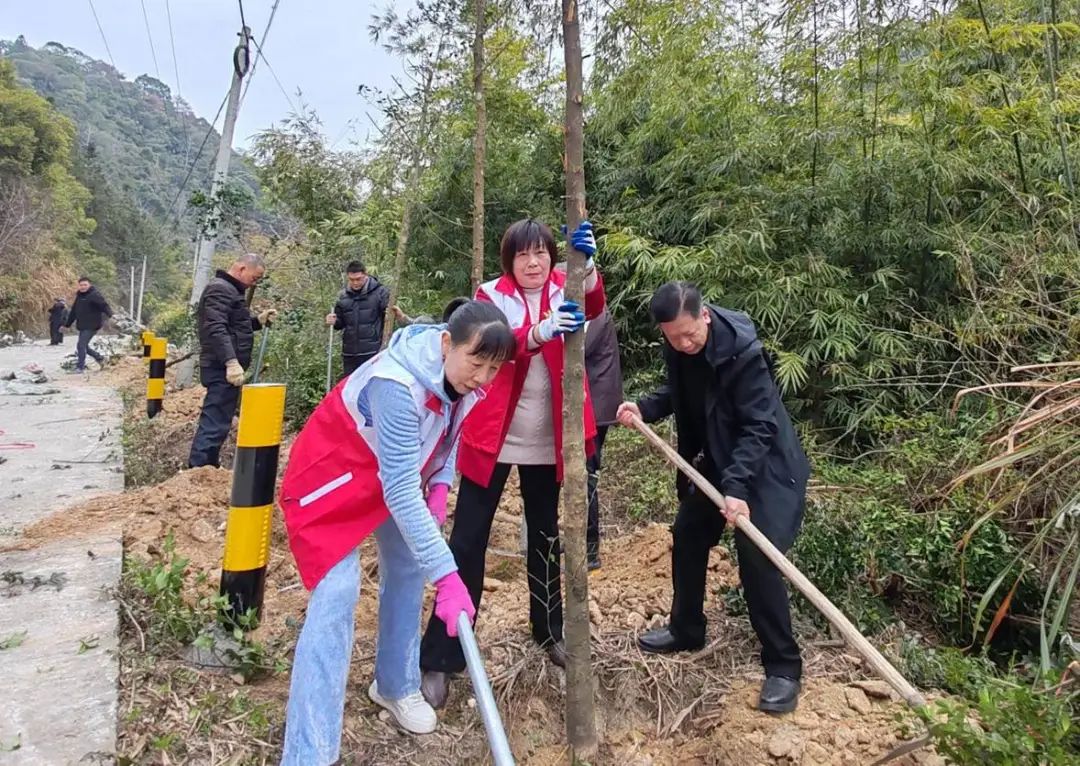 离退休干部“邻长”参与植树活动