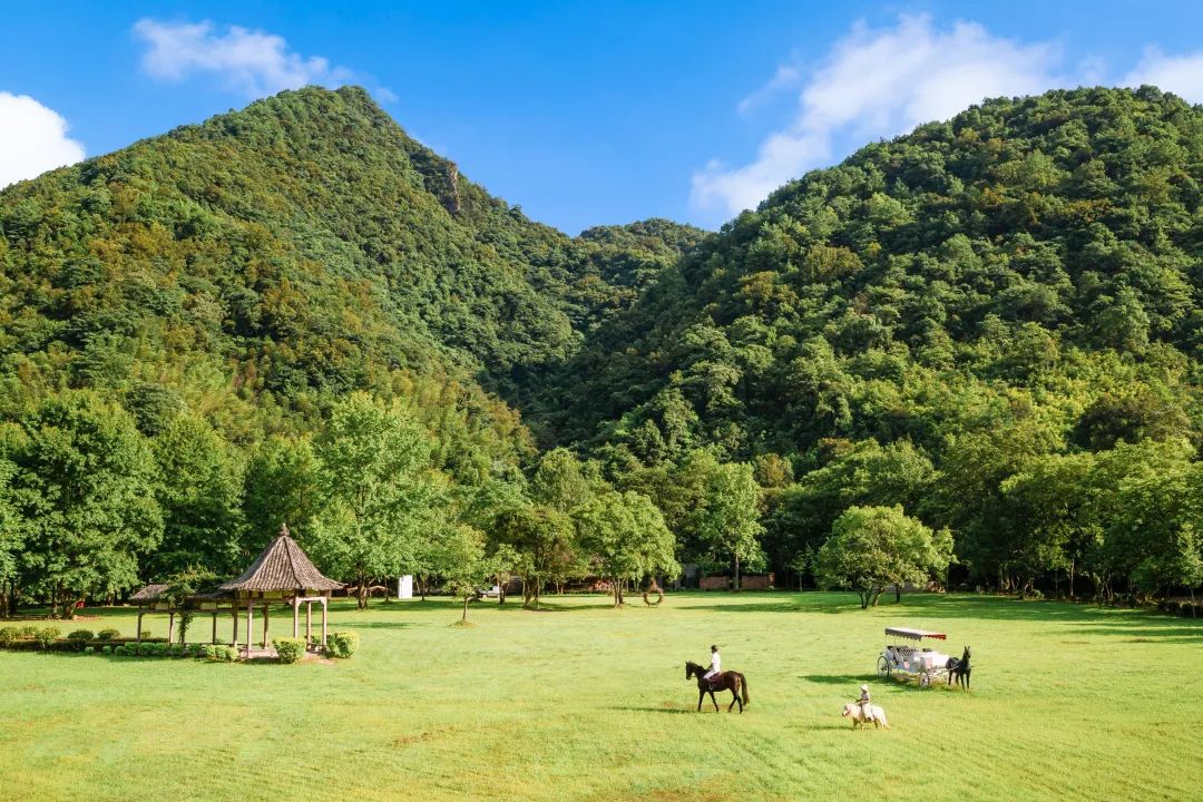 灵溪河.jpg