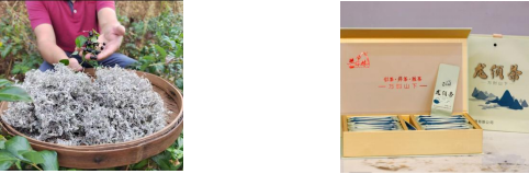 图片29.png