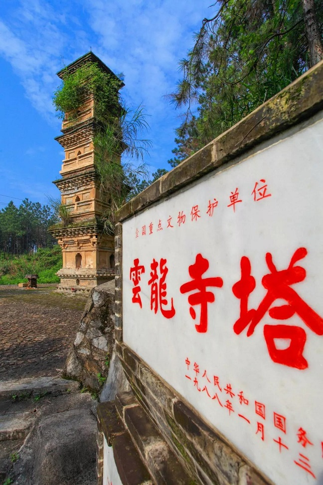 图片d2.png