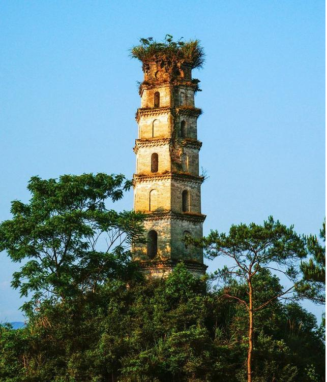 图片c2.png