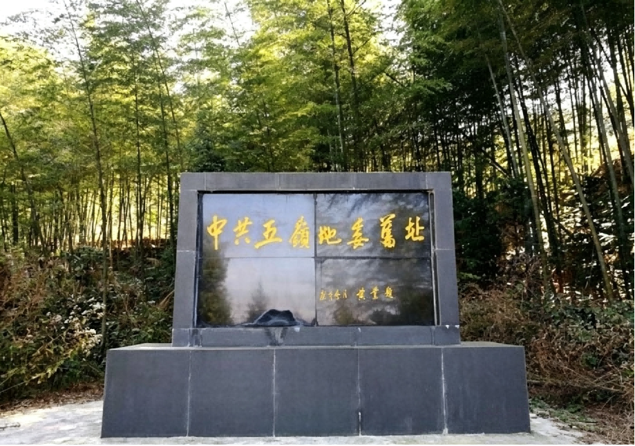 图片c7.png