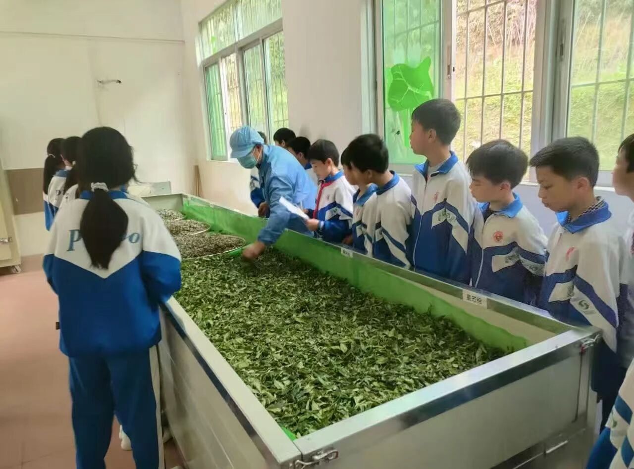 微信图片_2026-10-09_111642_602.jpg