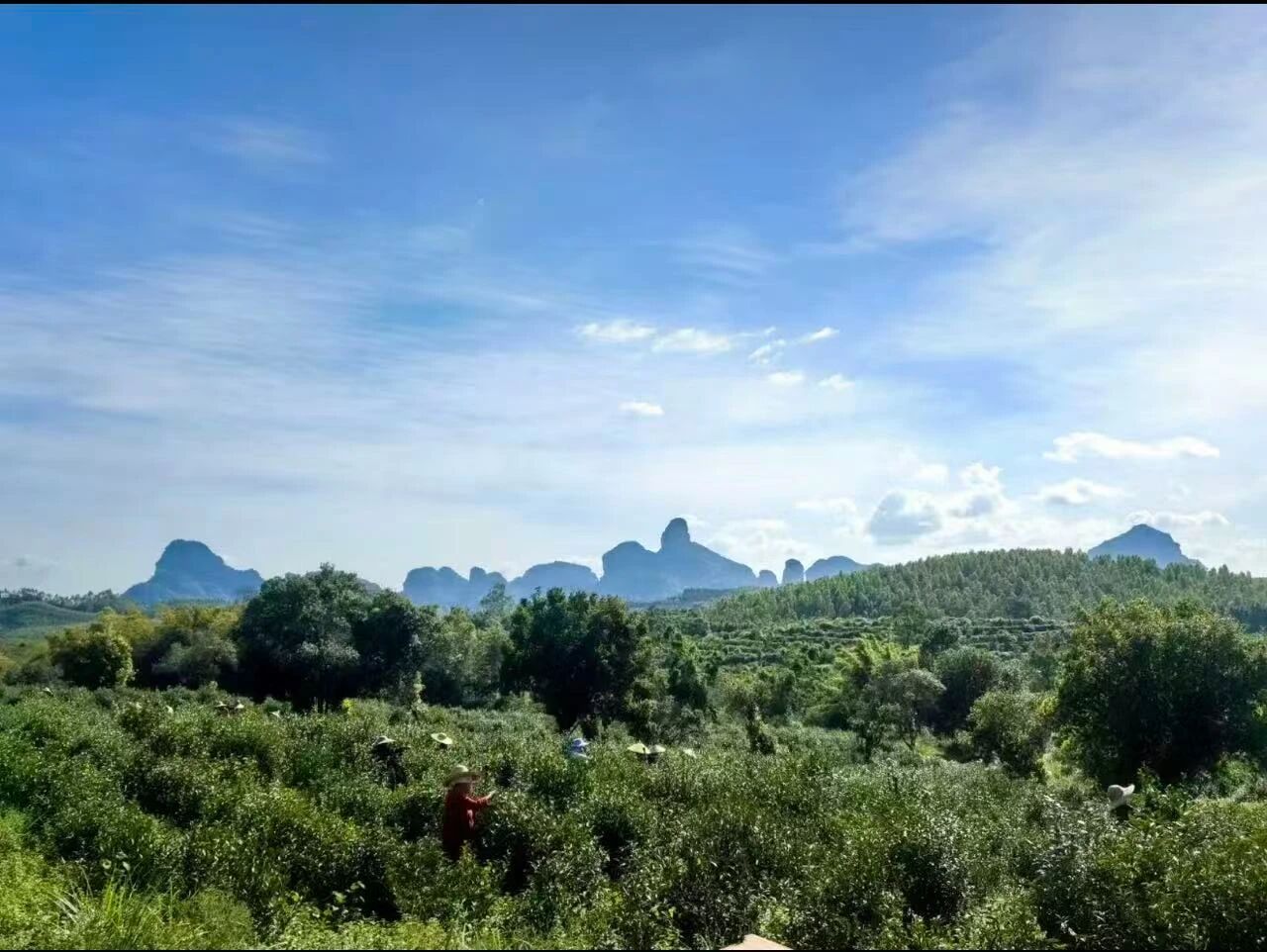 微信图片_2026-10-12_160027_660.jpg