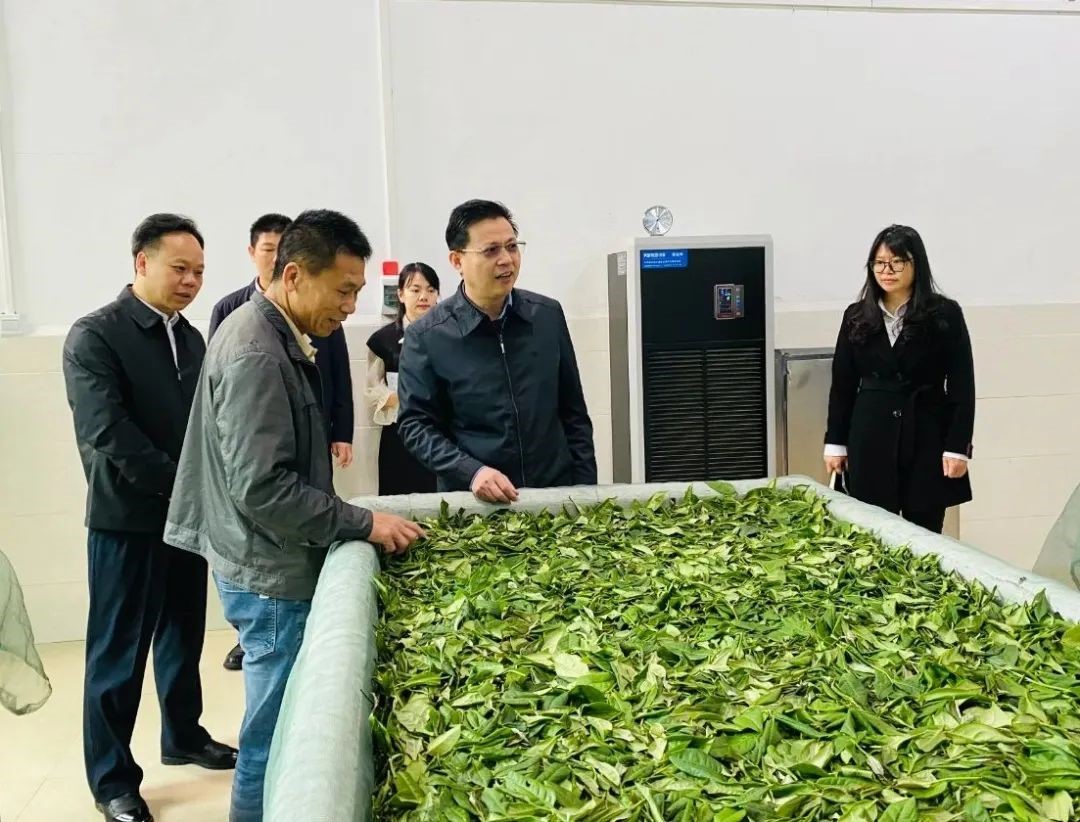 刘海旺到红山镇调研"百县千镇万村高质量发展工程"