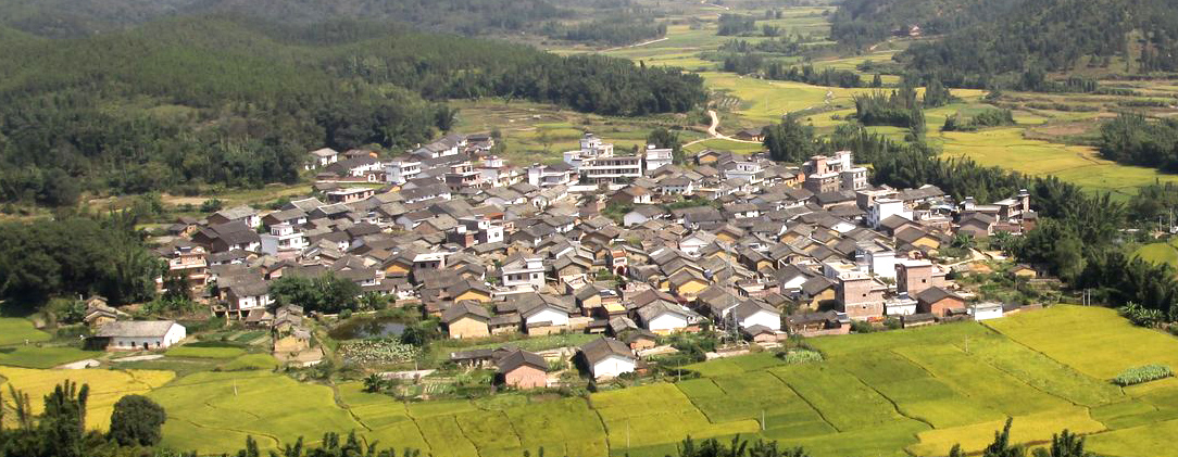 【一把手访谈】扶溪镇:全力打造"农业旅游精品小镇"